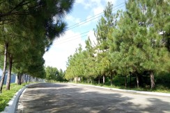 RUSH SALE – PRIME RIVERDALE SUBDIVISION LOT CEBU CITY